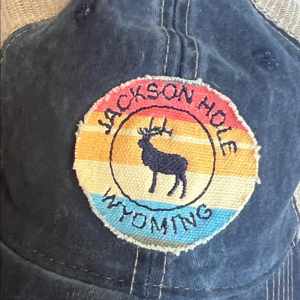 Jackson Hole Wyoming Navy and Tan Trucker Hat NWOT